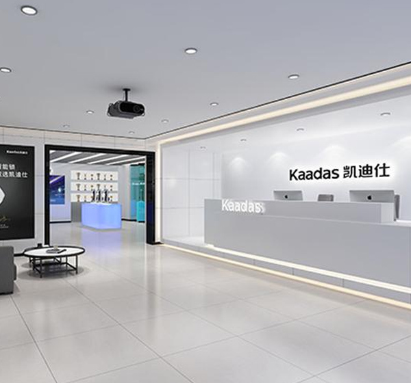 凱迪仕智能科技